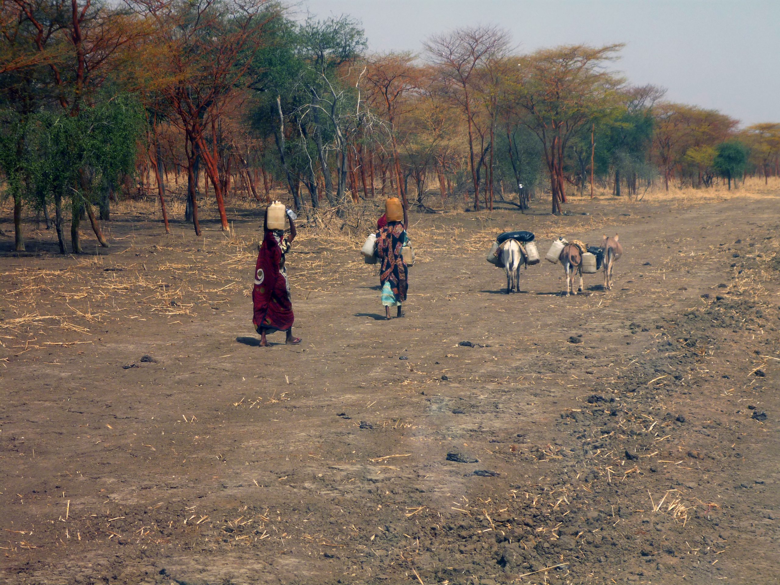 Sudan O T N R De De Ani A Fost Condamnat La Omor Re Cu Pietre