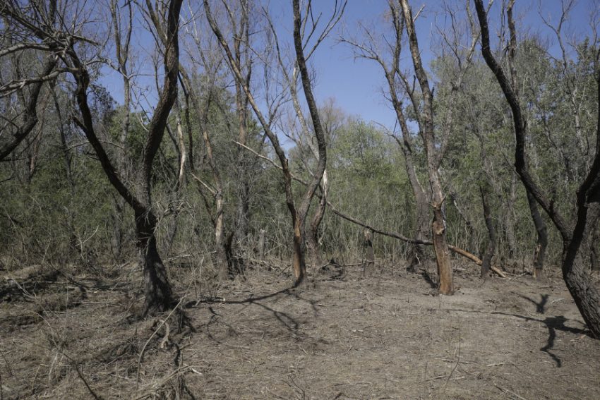 UPDATE MApN Fragmentele unei posibile drone identificate în zona