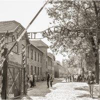 Ziua Interna Ional De Comemorare A Victimelor Holocaustului De Ani