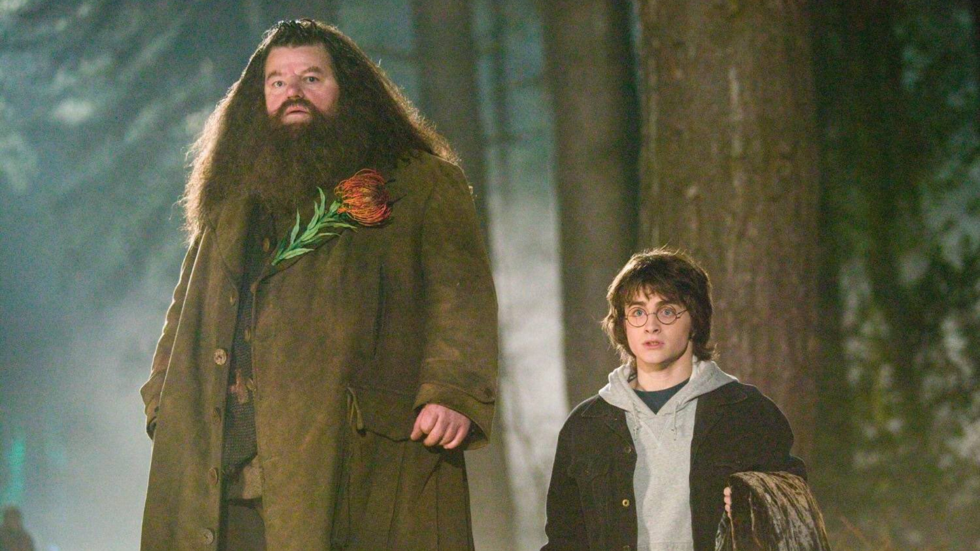 Actorul Robbie Coltrane, Hagrid Din „Harry Potter”, A Murit La Vârsta ...