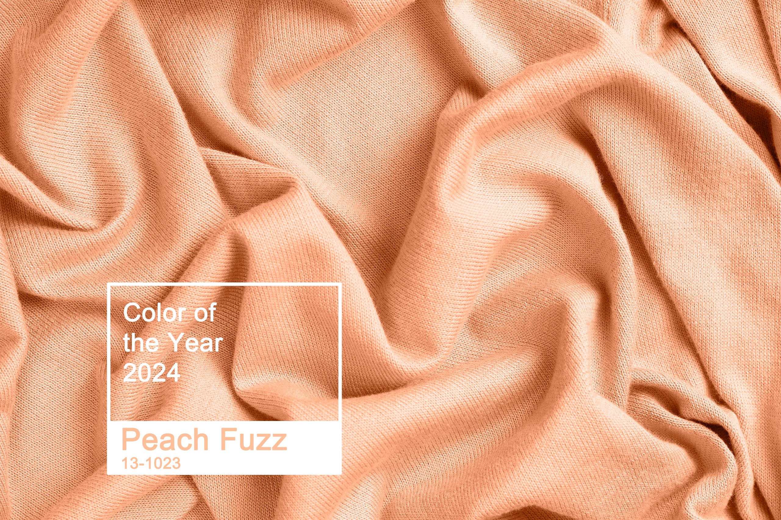 Culoarea anului 2024 Peach Fuzz Europa FM