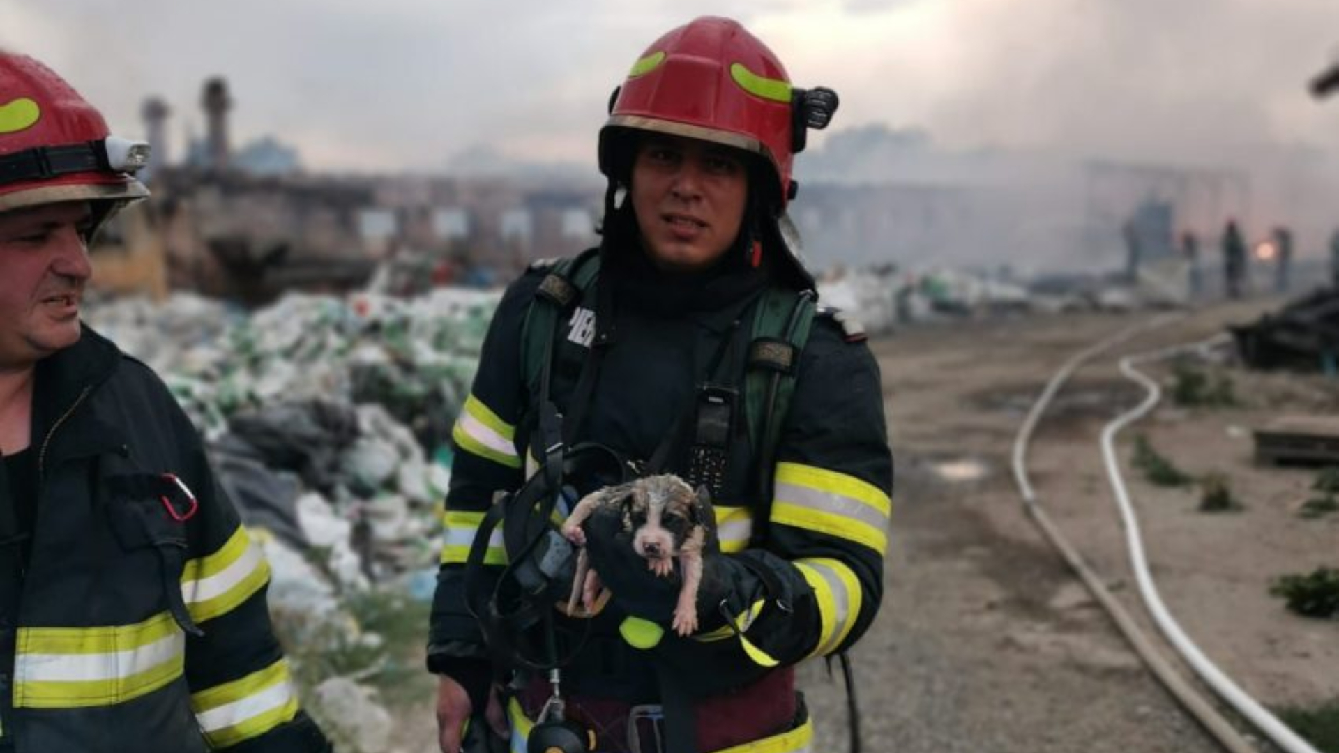 Un depozit de materiale reciclabile din Târgu Jiu a ars în întregime. Cinci cățeluși au fost salvați de pompieri