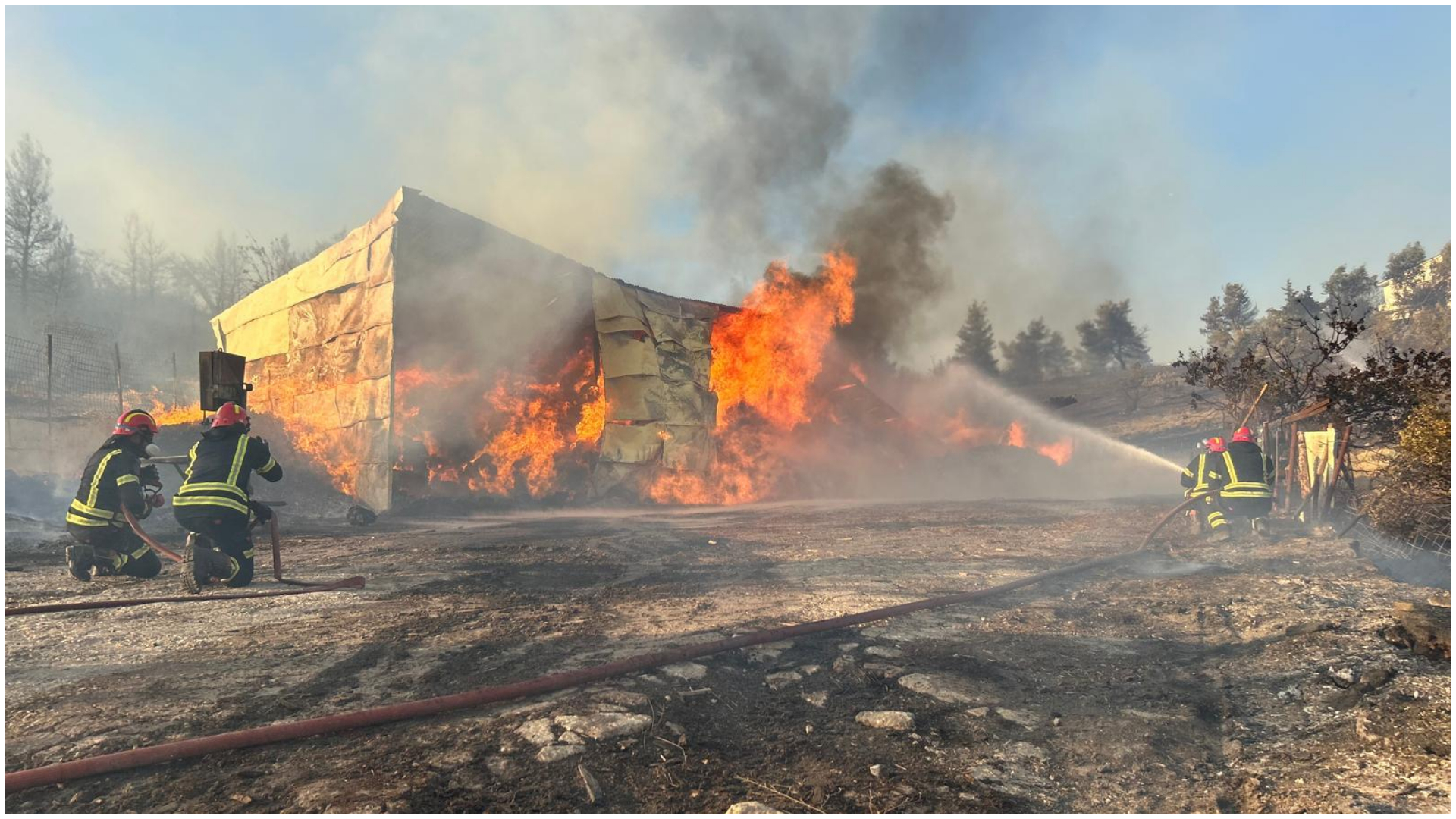 Asistență suplimentară pentru Grecia în lupta cu incendiile de vegetație. Pompieri din mai multe țări intervin prin mecanismul de protecție civilă al UE