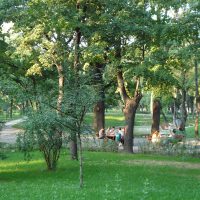 Medalia Verde: Registru Verde pentru Parcul Kiseleff, proiectul Asociației Peisagiștilor din România, un exemplu bun de urmat de toate administrațiile din țară