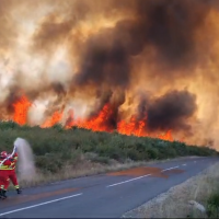 Incendiu puternic de vegetație în județul Maramureș. Flăcările au ajuns la mai multe locuințe aflate în apropiere. 90 de oameni au fost evacuați | VIDEO, AUDIO